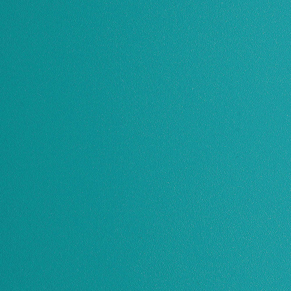 16.19