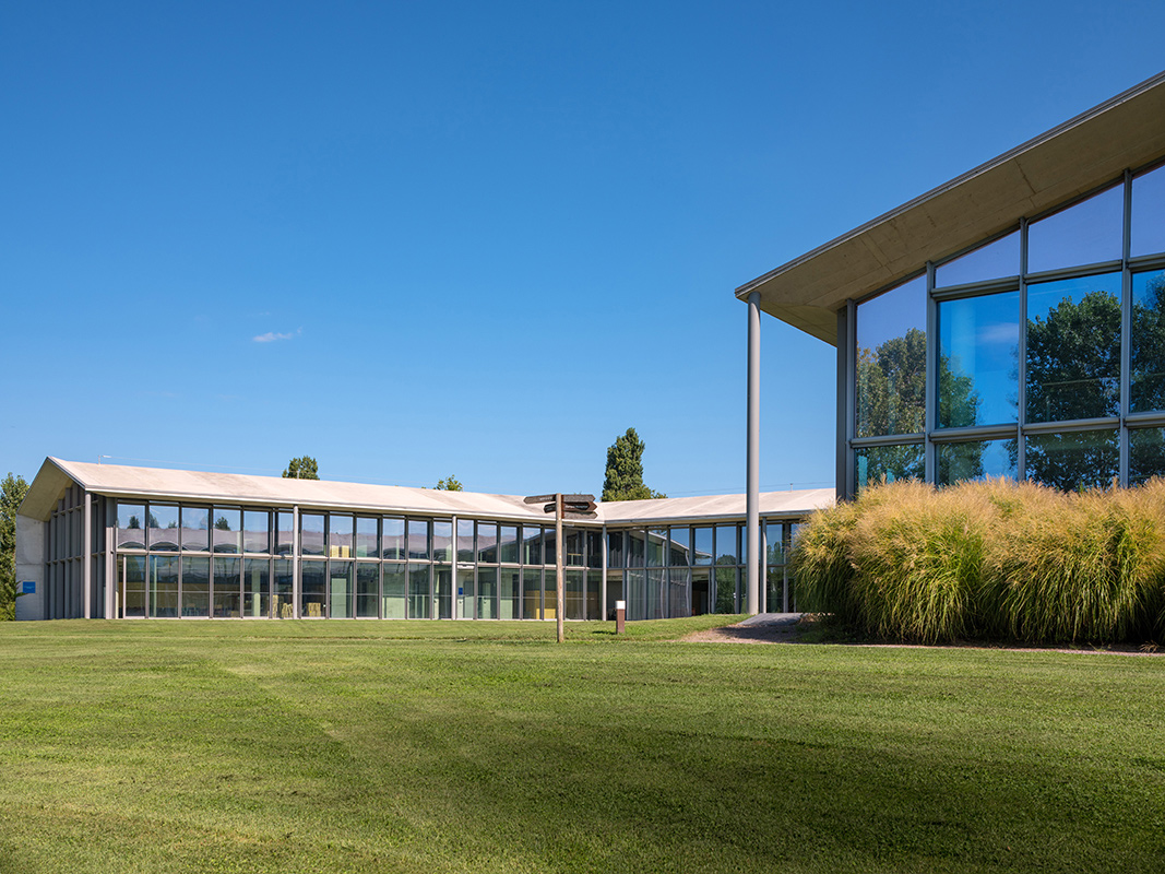 H-Farm Campus College